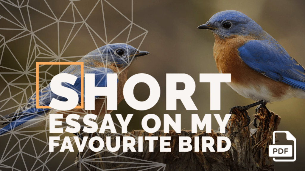 100 words essay on birds