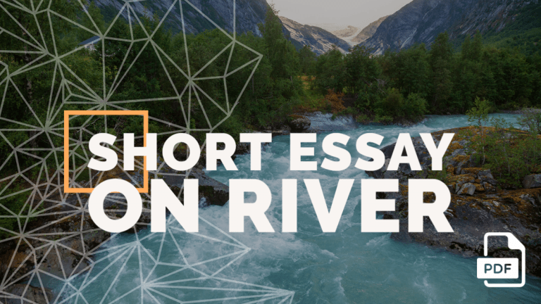 200 words essay on rivers