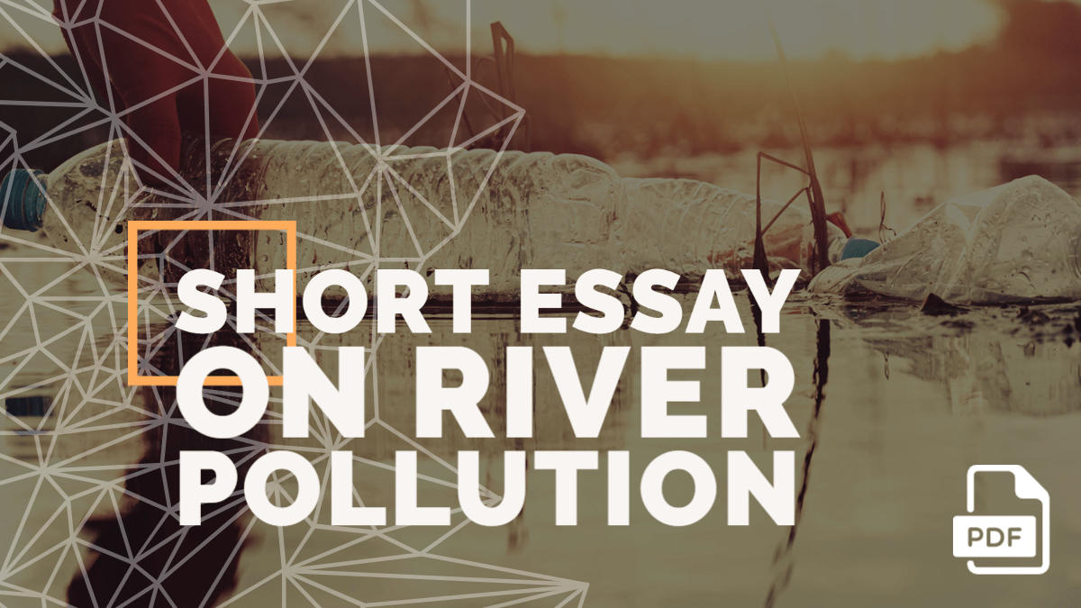 river pollution in english essay