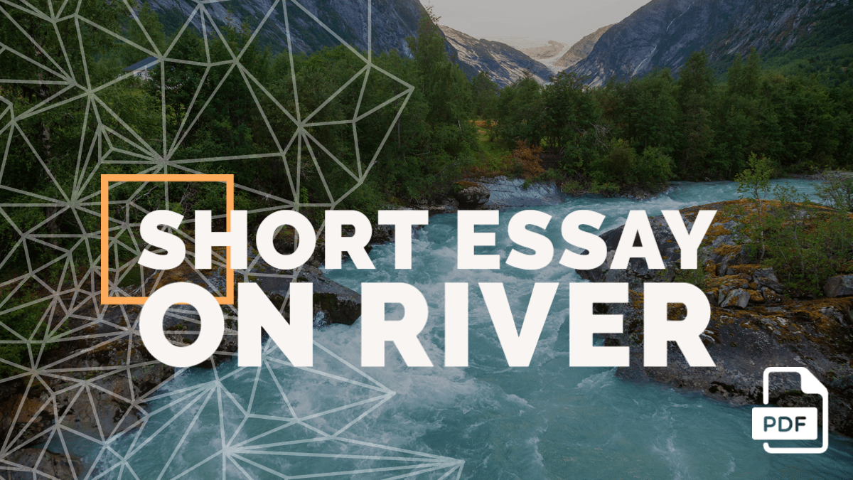 essay on saving rivers 40 words