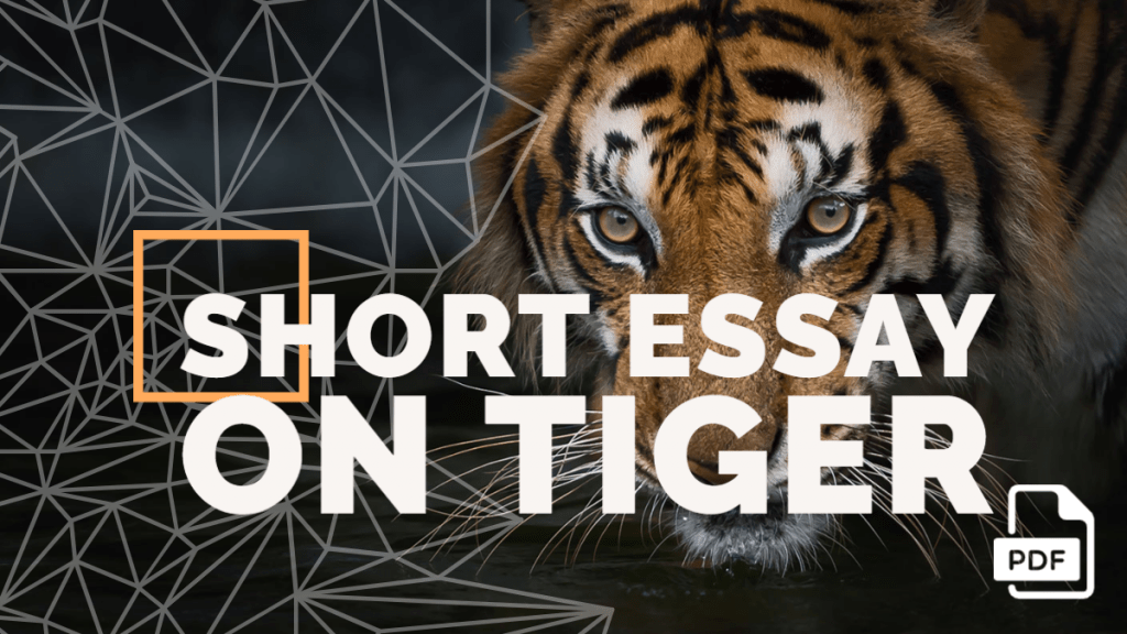 Short Essay on Tiger [100, 200, 400 Words] With PDF