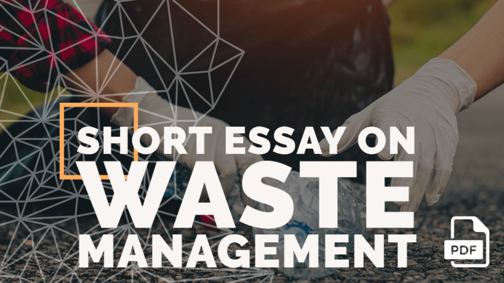 Short Essay on Waste Management [100, 200, 400 Words] With PDF
