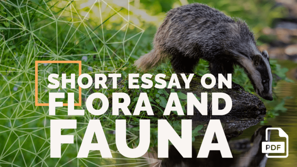 Short Essay on Flora and Fauna [100, 200, 400 Words] With Pdf