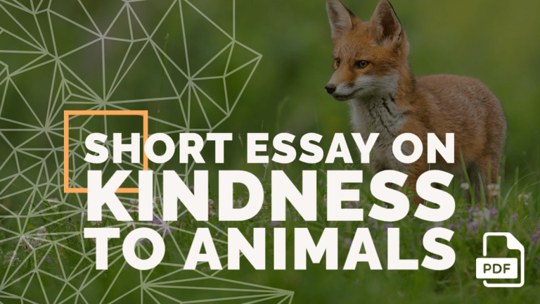 Feature image of Short Essay on Kindness to Animals
