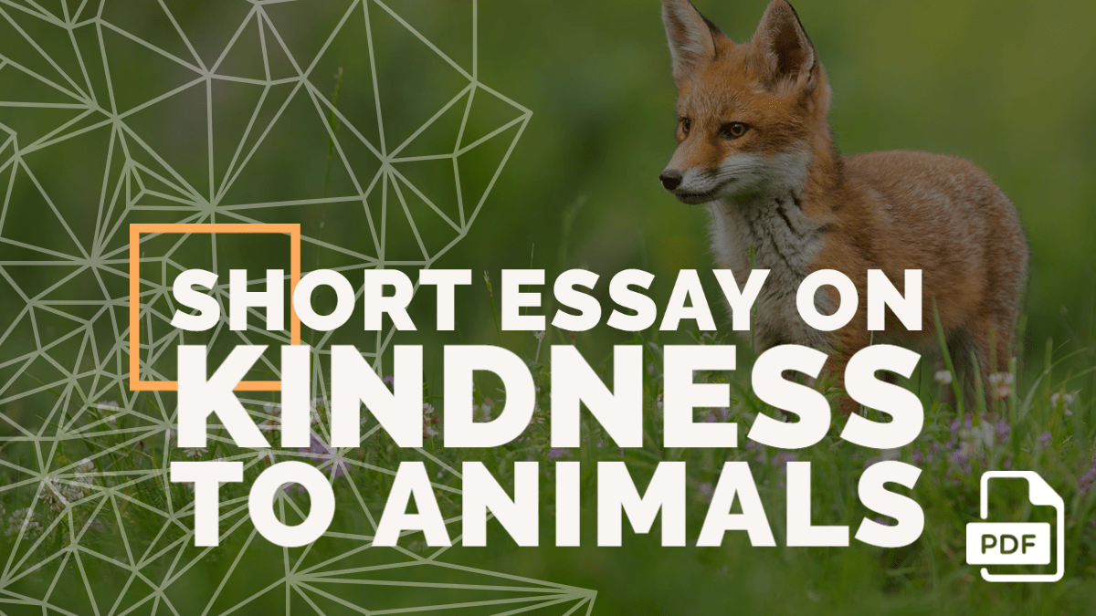 Short Essay on Kindness to Animals [100, 200, 400 Words] With PDF - English  Compositions