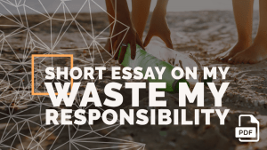 essay on never waste your opportunity