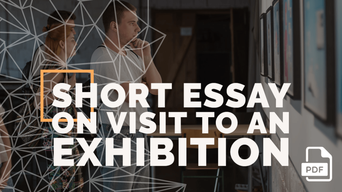 visit to art exhibition. essay