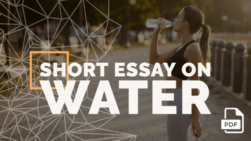 water essay in english 100 words