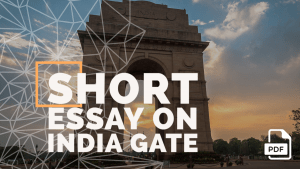 write an essay on india gate