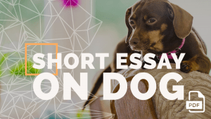 essay on dog in short