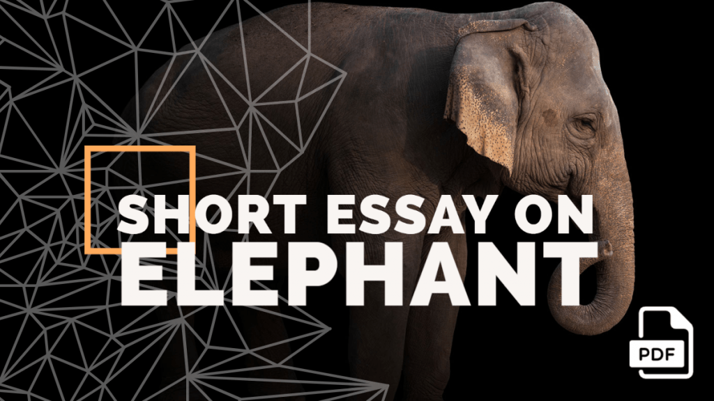 100 words short essay on elephant