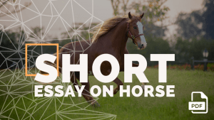 persuasive speech topics about horses