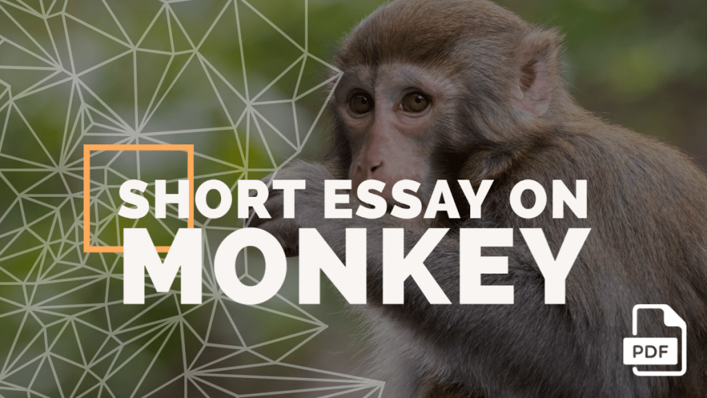 Short Essay on Monkey [100, 200, 400 Words] With PDF