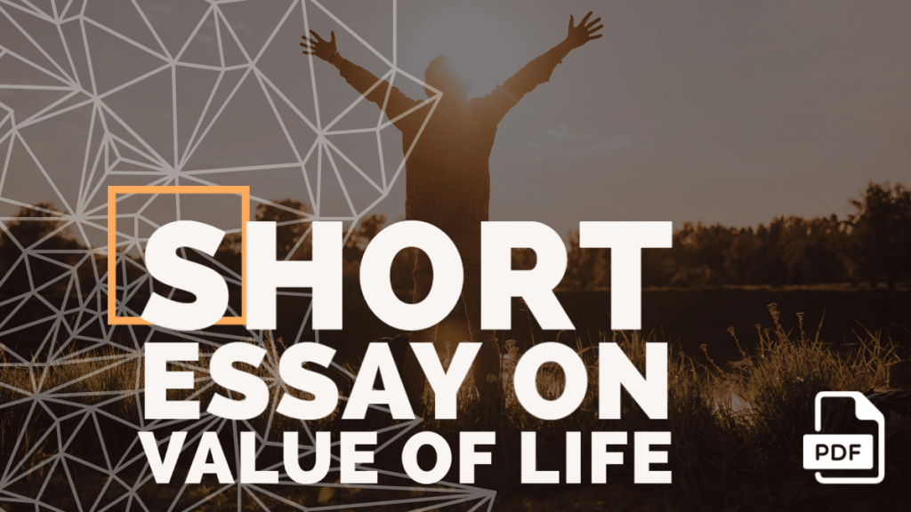 value of life essay pdf