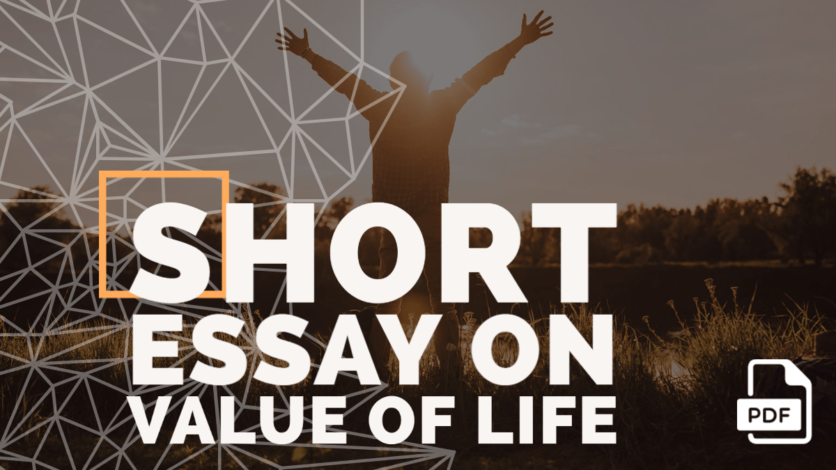 value of life essay example