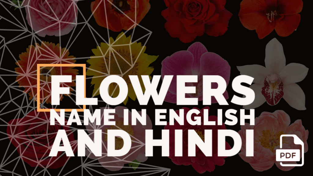 Feature image of Flowers Name in English and Hindi