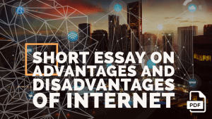 internet advantages and disadvantages essay in english