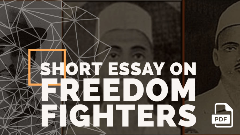 essay on freedom fighters and their contribution