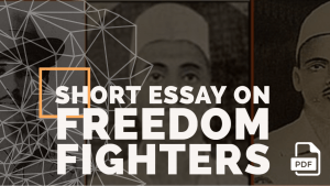 essay for freedom fighters