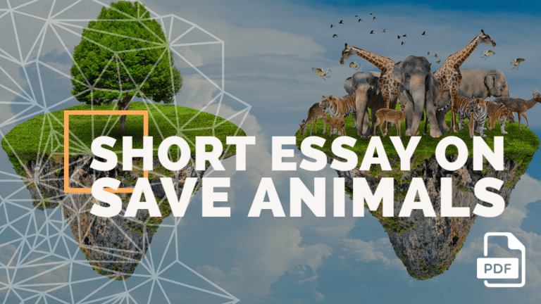 Feature image of Short Essay on Save Animals