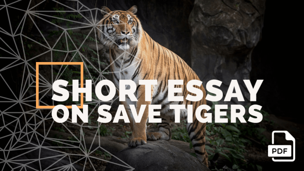 Short Essay on Save Tigers [100, 200, 400 Words] With PDF