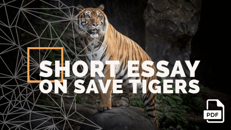 Feature image of Short Essay on Save Tigers