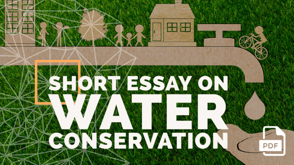 Short Essay on Water Conservation [100, 200, 400 Words] With PDF