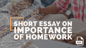 homework short essay