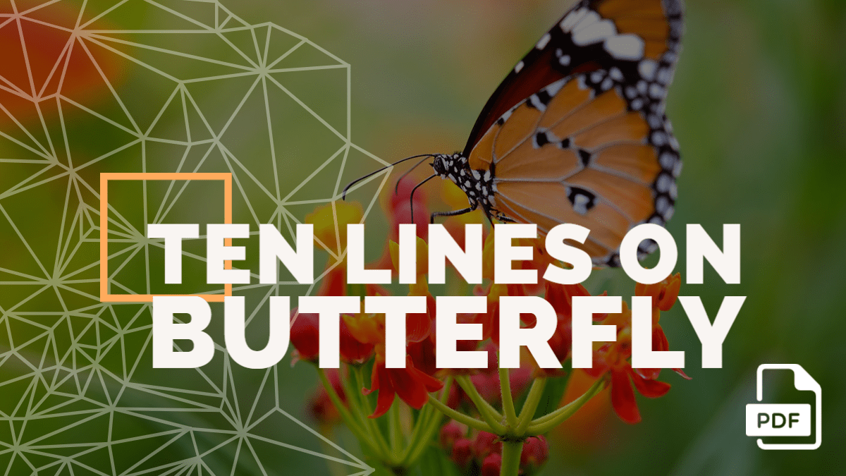 Feature image of 10 Lines on Butterfly