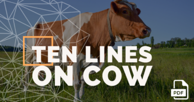 Feature image of 10 Lines on Cow in English