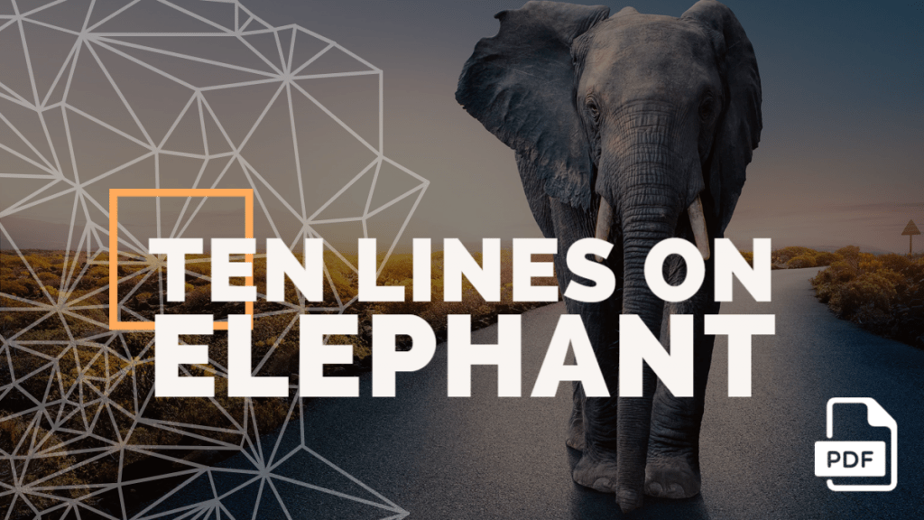Feature image of 10 Lines on Elephant