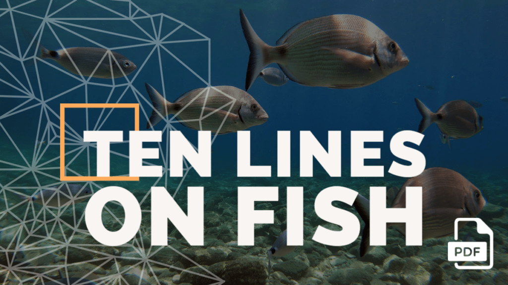 Feature image of 10 Lines on Fish