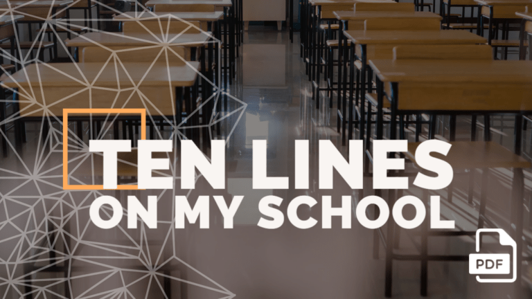 10 Lines on My School in English [3 Examples]