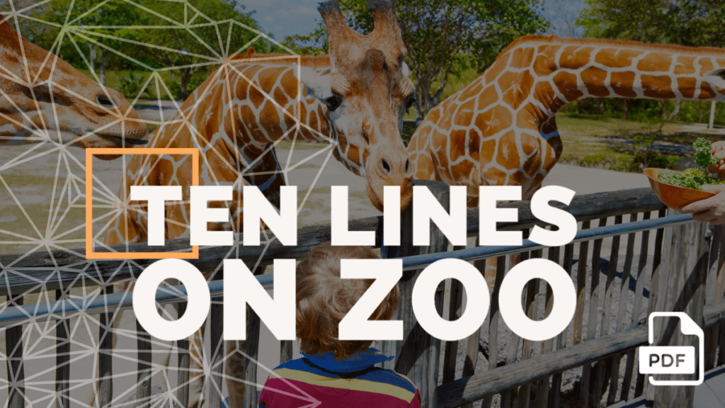 essay few lines on zoo for class 1
