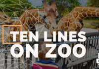 Feature-image-of-10-Lines-on-Zoo