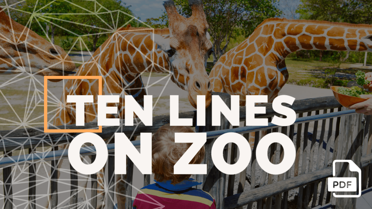 10 lines about zoo in english